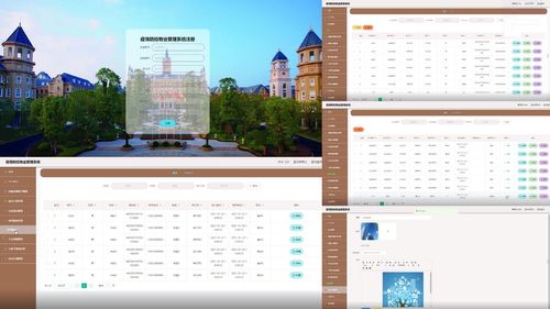 軟件工程畢業設計選題100例（五）——進階與實踐方向