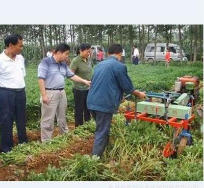 辛集市新型花生收獲機 睿智升級版鏈條收獲機的品質保證與供應商優勢
